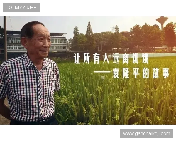 企业家荣誉的背后：奋斗与智慧成就行业领袖的非凡之路